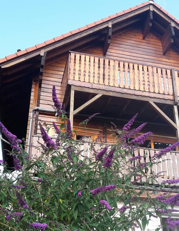 Ferienhaus Berg.Erleben Hilders 外观 照片